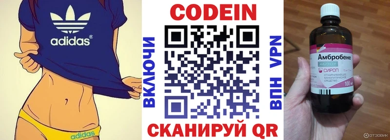 Купить где  Курильск  Кодеиновый сироп Lean Purple Drank 