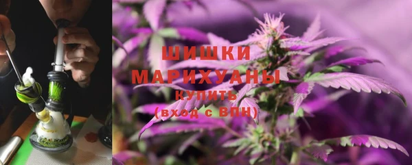 бошки Аркадак