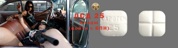 мяу мяу кристалл Арсеньев